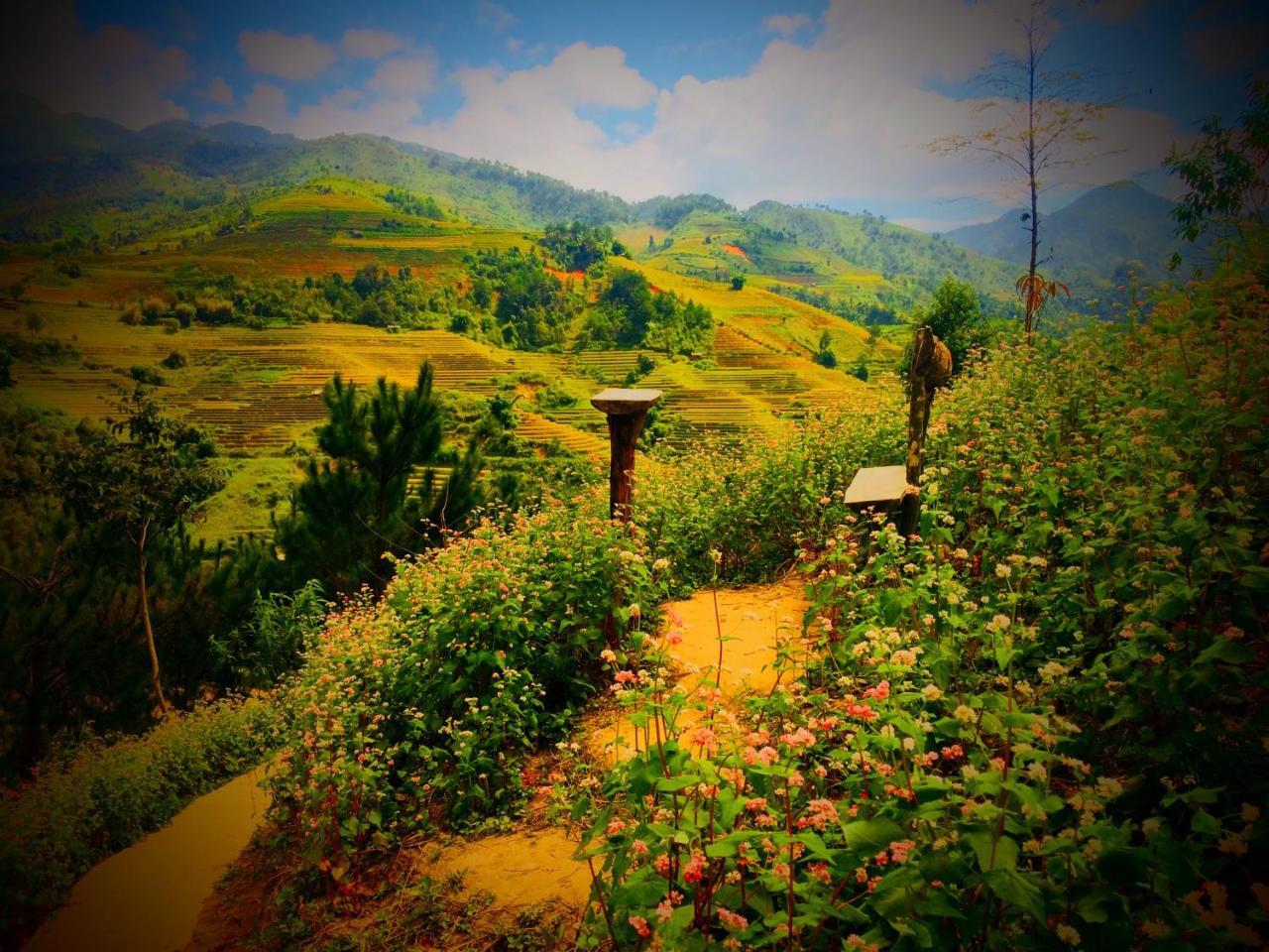 Hello & Tours Деревянный коттедж Mu Cang Chai